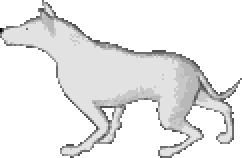 White wolf sentry