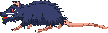 Rat