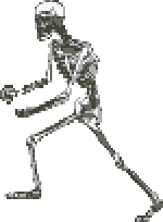 skeleton