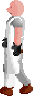 Professor