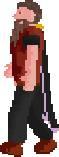 Nulodion